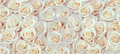 Fresh white roses seamless pattern Stock Photo