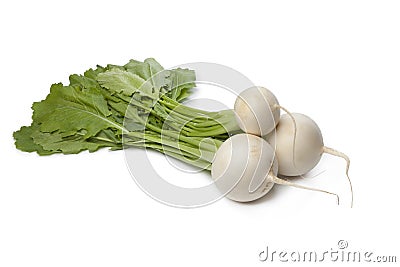 Fresh white round Daikon radish Stock Photo