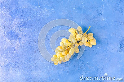 Fresh white Table Grapes on trendy blue background Stock Photo