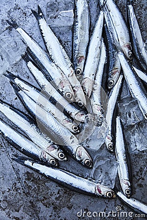 Fresh whitebait on ice Stock Photo