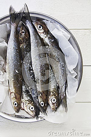 Fresh Whitefish Stock Photo