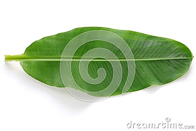 Fresh whole banana leaf Stock Photo