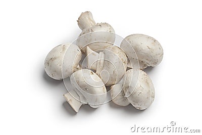 Fresh whole champignons Stock Photo