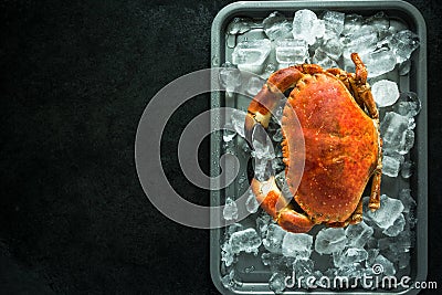 Fresh whole crab Stock Photo