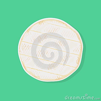 Fresh whole cylinder of camembert de Normandie cheese, top view. Vector illustration. Vector Illustration