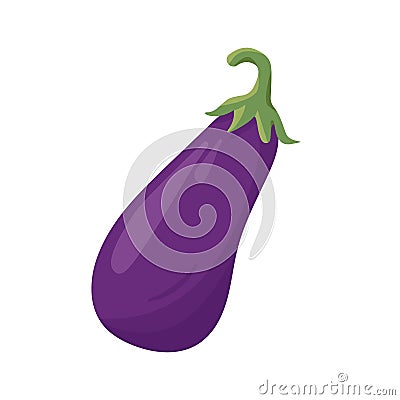 Fresh whole Eggplant vegetable. Farm eggplant plant icon. Organic garden vegetarian food. Vector Illustration
