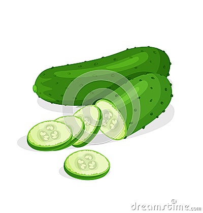 Fresh whole, half, cut slice and piece of cucumber isolated on white background. Vector Illustration