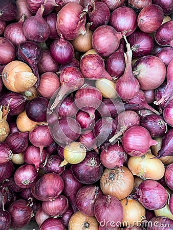 Fresh whole onion. Full frame. Background. Stock Photo
