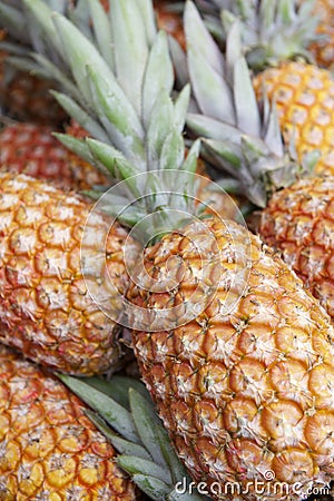 Fresh Whole Pineapple Fruits at Farmers Market Stock Photo