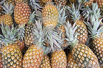 Fresh Whole Pineapple Fruits Farmers Market Stock Photo