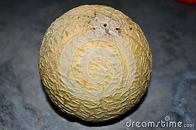 A Fresh Musk Melon or Cantaloupe Stock Photo