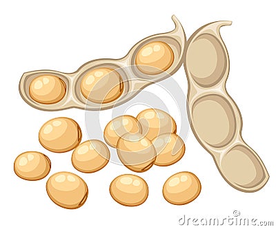 Fresh whole soybean vegetable from the garden organic food open bean pod illustration isolated on white background web site Cartoon Illustration