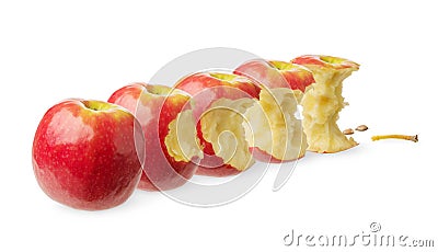 Fresh whole and tested apple Stock Photo