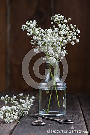 Fresh wild meadow white flowers in mason jar Stock Photo