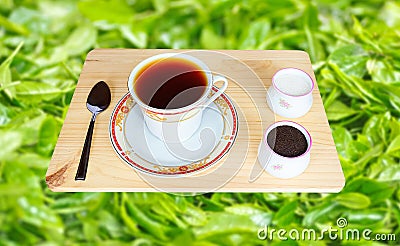 Fresh World-Renowned Ceylon Black Tea Stock Photo