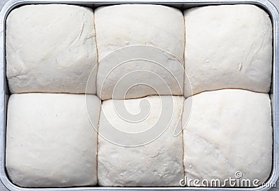 Fresh yeast proven dough balls for pizza Stock Photo