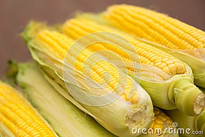 Fresh yellow corn. New crop, farmers market. Stock Photo