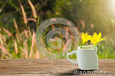 Fresh yellow flowers in white cup with heart shaped holder on grunge wooden tabletop on blurred grass flowers field in garden Stock Photo