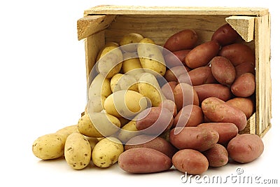 Fresh yellow and red small potatoes Stock Photo