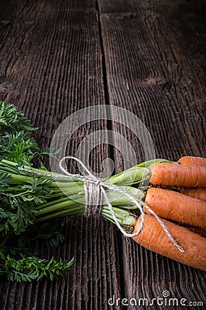 Fresh young bunch of carrots and leaves Stock Photo