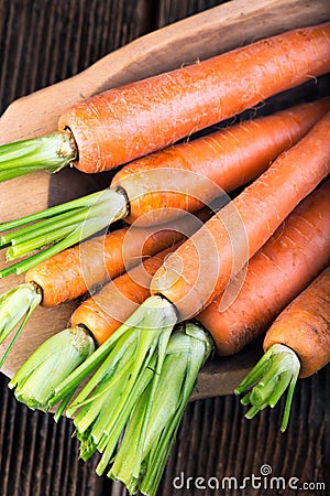 Fresh young bunch of carrots and leaves Stock Photo