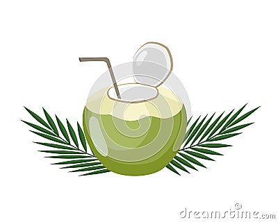 Fresh young coconut with green palm leaf isolated on white background. Vector Illustration