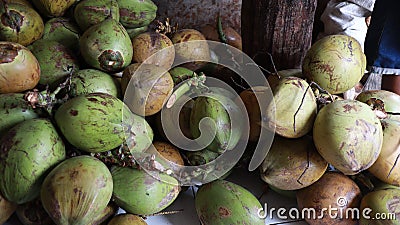 Fresh young coconuts, Fresh green coconut, Piles of green coconut Stock Photo