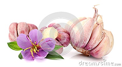 Fresh Young Garlic. Stock Photo