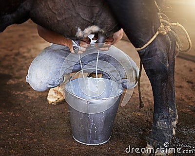 Only the freshest milk. High angle shot of an unrecognizable male farmhand milking a cow in the barn. Stock Photo