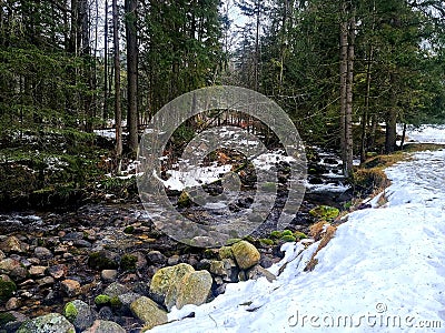 Freshet river coming down the rocks in the snowy forest during the spring season Stock Photo
