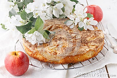 Freshly baked Apple pie on the table with apples, piece in plate Stock Photo