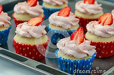 Freshly baked cranberry muffins in a muffin tin Stock Photo