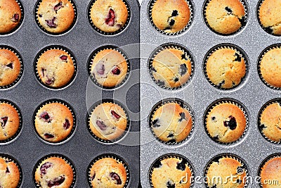 Freshly baked muffins with various kinds fruit Stock Photo