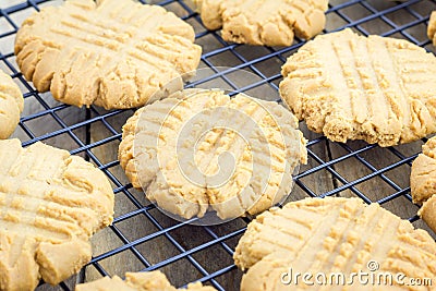 Freshly baked peanut butter cookies on a cooling rack Stock Photo