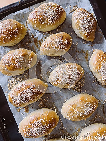 Freshly baked sesame buns lie on a baking sheet Stock Photo