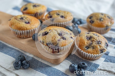 Freshly baked vanilla blueberry muffins Stock Photo