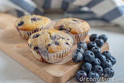 Freshly baked vanilla blueberry muffins Stock Photo