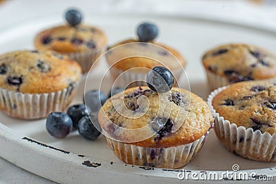 Freshly baked vanilla blueberry muffins Stock Photo