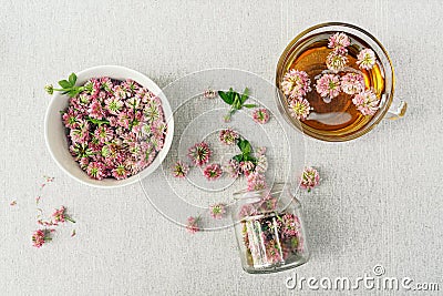 Freshly brewed herbal clover tea in glass mug, heap of flowerheads on light gray background, top view Stock Photo