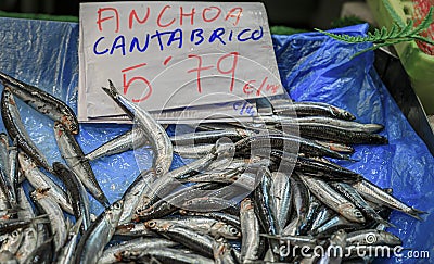 Freshly caught raw anchovies at a fishmonger market stall in Pamplona, Spain Stock Photo