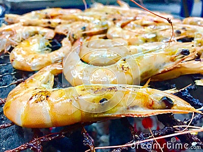 Freshly caught shrimp Stock Photo