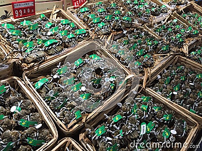 Freshly Caught Soft Shell Crab, seafood, Shanghai Market, China Editorial Stock Photo