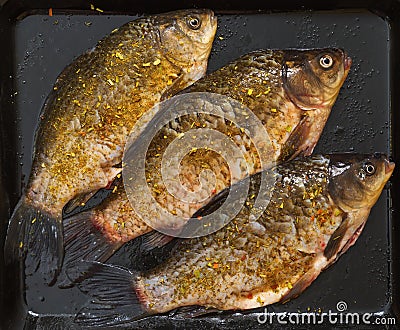 Freshly cleaned fish with spices. Three fresh crucian carp Stock Photo