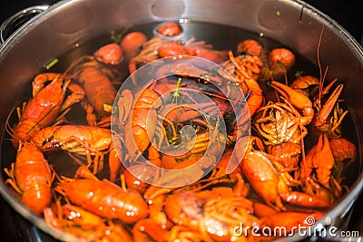 Freshly cooked crayfish with dill and salt Stock Photo