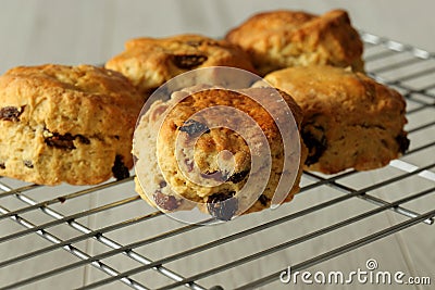 Freshly cooked fruit scones on a cooling rack Stock Photo