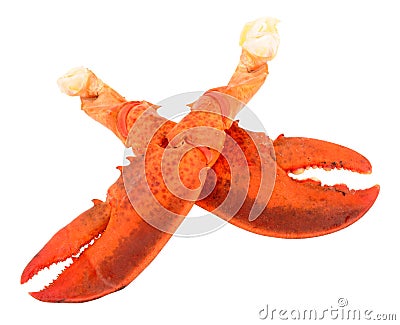 Freshly Cooked Pink Lobster Claws Stock Photo