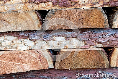 Freshly cut wood on the pile Stock Photo