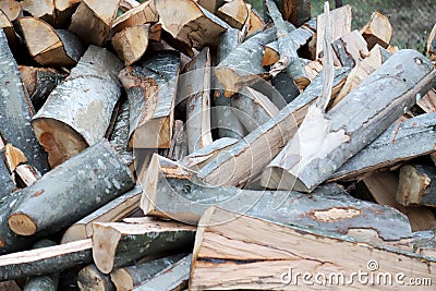 Freshly cutted chopped firewood Stock Photo