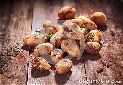 Freshly harvested farm potatoes Stock Photo