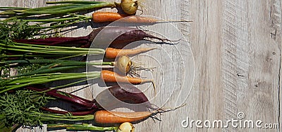 Freshly harvested homegrown organic beetroot, onion and carrot on wooden table. top view, copy space. Banner Stock Photo
